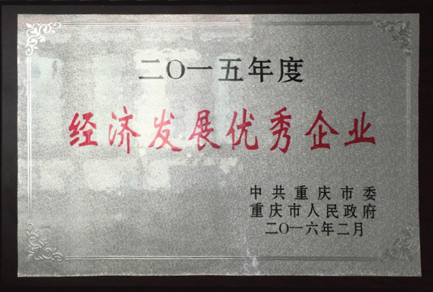 2015年度經(jīng)濟發(fā)展優(yōu)秀企業(yè)